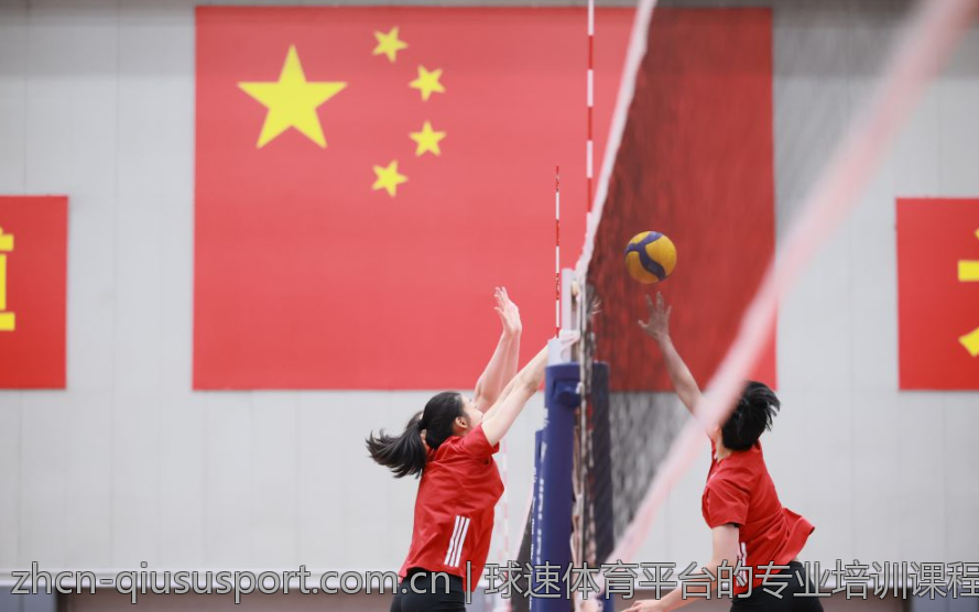球速体育平台的专业培训课程与资源